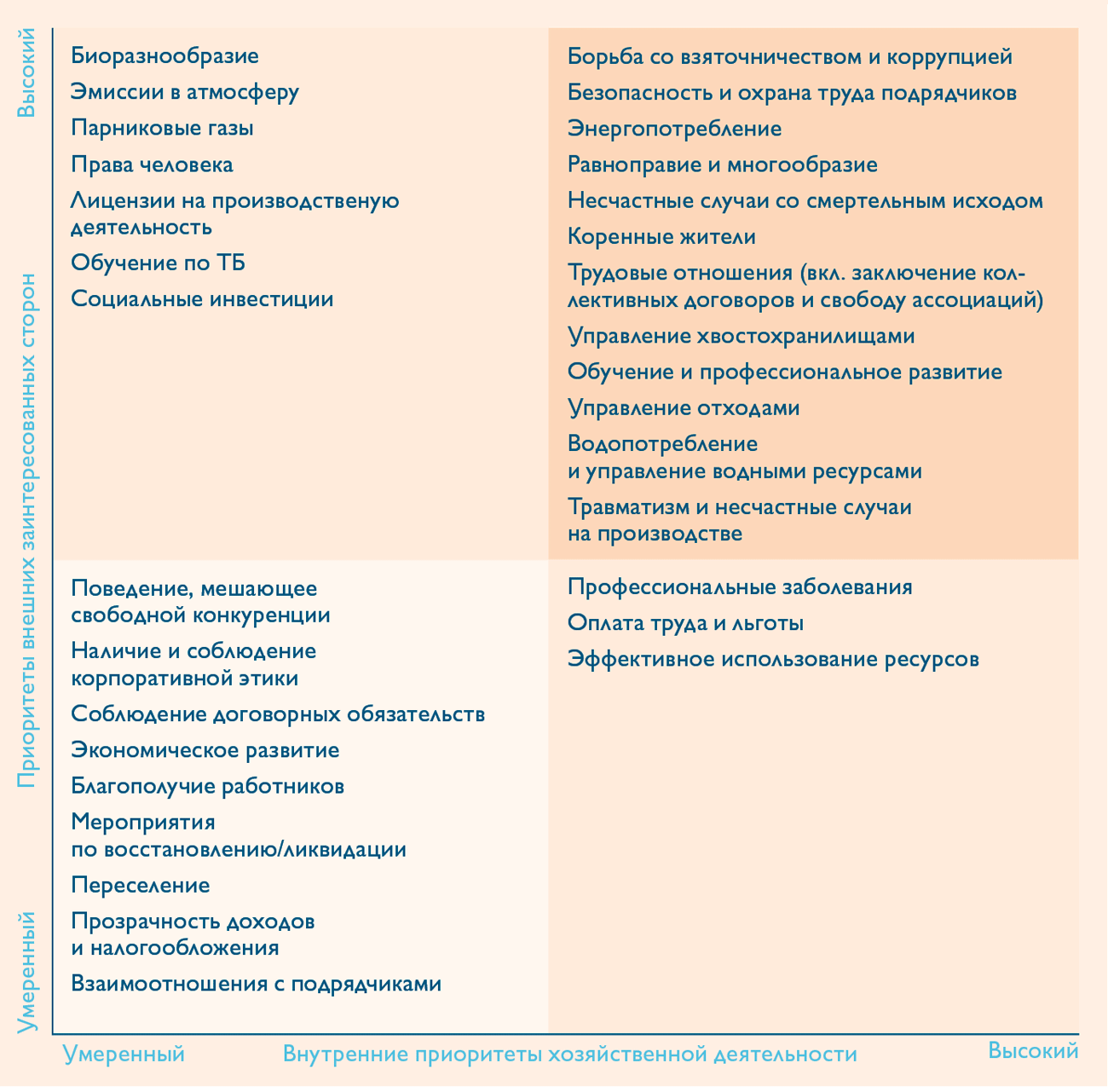 Екі осі бар маңыздылықты бағалау матрицасы. Сыртқы мүдделі тараптардың басымдықтары орташадан жоғарыға дейін, ал ішкі бизнес басымдықтары орташадан жоғарыға дейін өзгереді. Жоғары басымдықтарға биоәртүрлілік, адам құқықтары, сыбайлас жемқорлыққа қарсы күрес, еңбек қатынастары және парниктік газдар шығарындылары жатады. Қалыпты басымдықтар бизнестің адалдығын, экономикалық дамуды және кәсіби денсаулықты қамтиды.